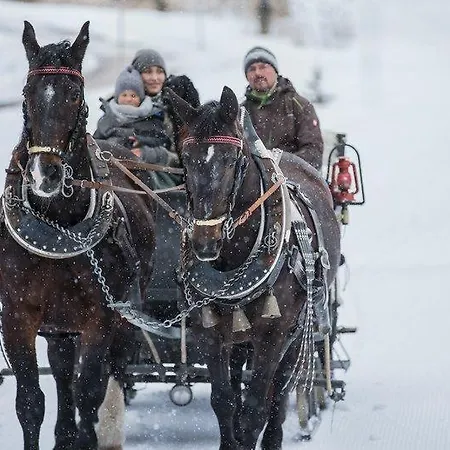 Appartement Sonnenspitze